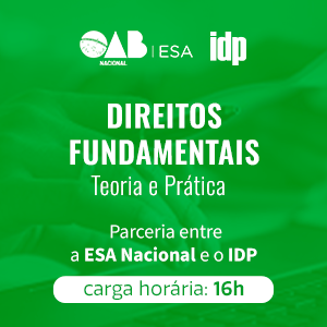 DIREITOS FUNDAMENTAIS - TEORIA E PRÁTICA